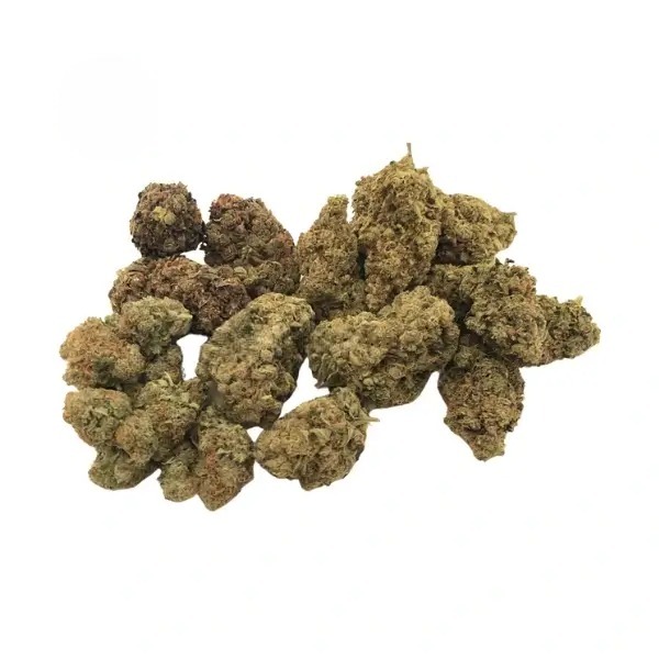 Hollandse Cocktail Lil Buds