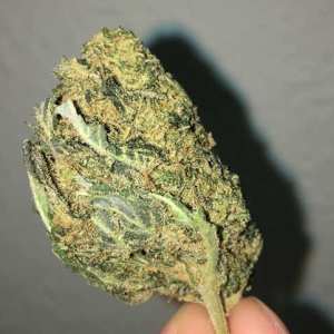 Blueberry Kush