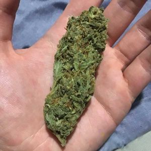 Strawberry Haze
