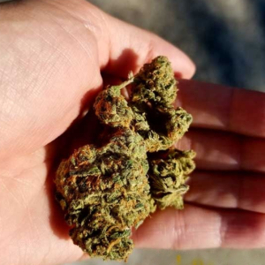 super-silver-haze